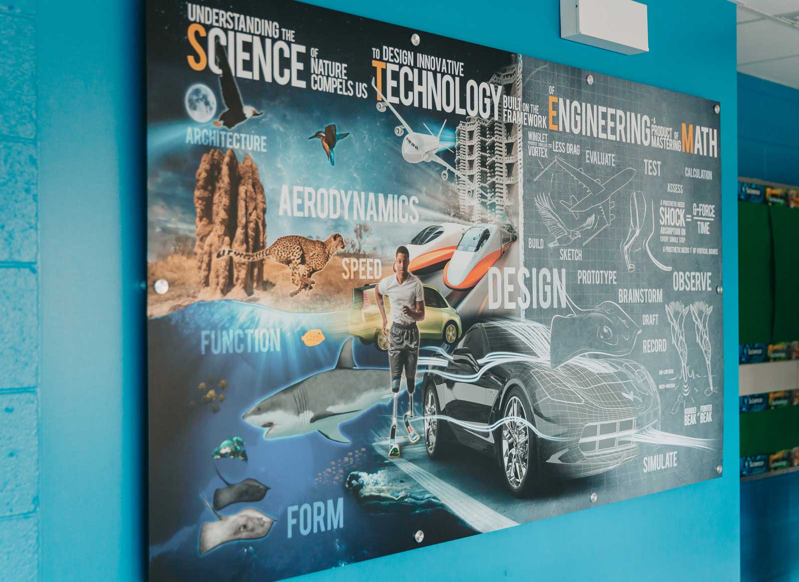 What is STEM Mural